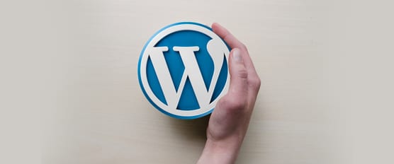 Wordpress Website Help