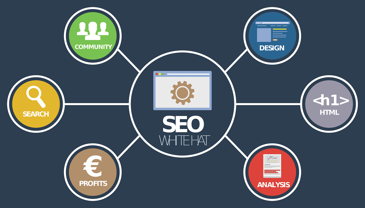 Tampa local SEO company optimizing a business for local search
